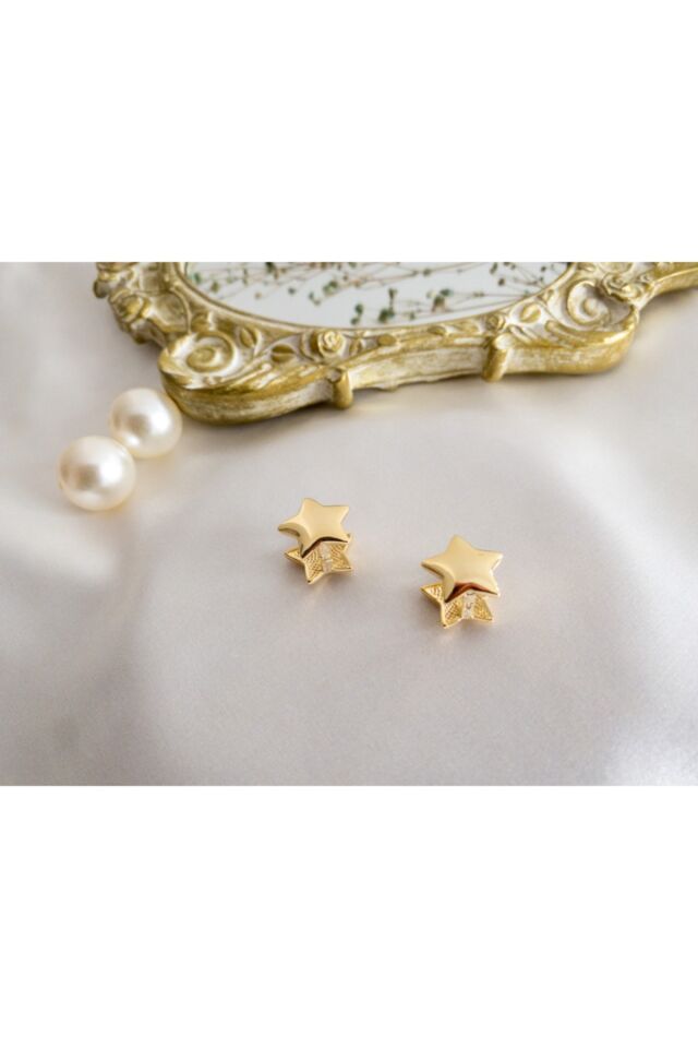 Gold Çelik Yıldız Küpe