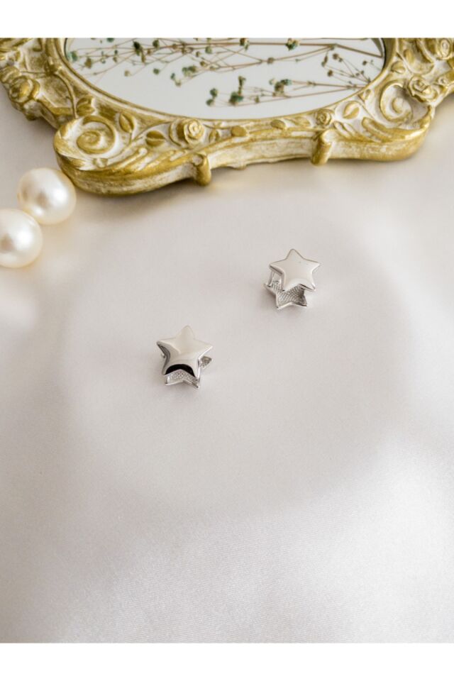 Gümüş Çelik Yıldız Küpe