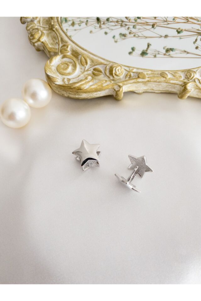 Gümüş Çelik Yıldız Küpe