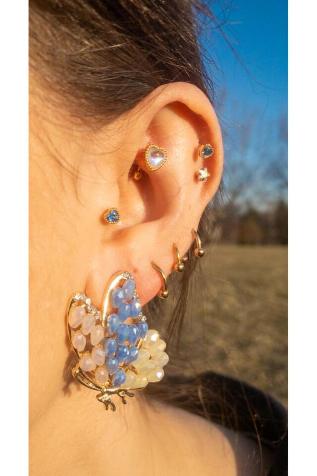 Parlak Boncuk İşlemeli Su Yolu Çerçeve Gold Kelebek Küpe