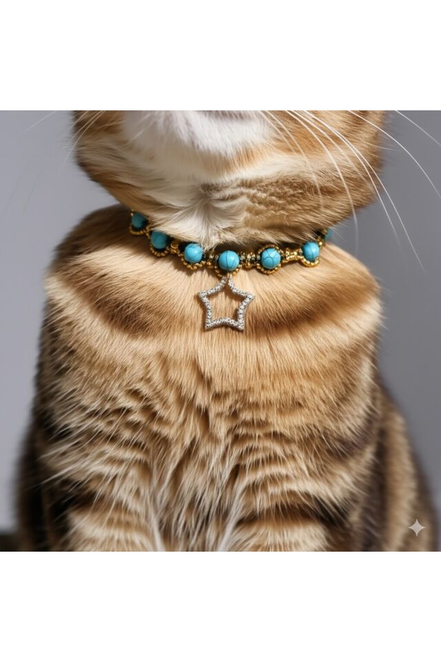 Doğal Firuze Taşlı Yıldız Charm'lı El Yapımı Kedi & Köpek Tasması – Şık Evcil Aksesuar