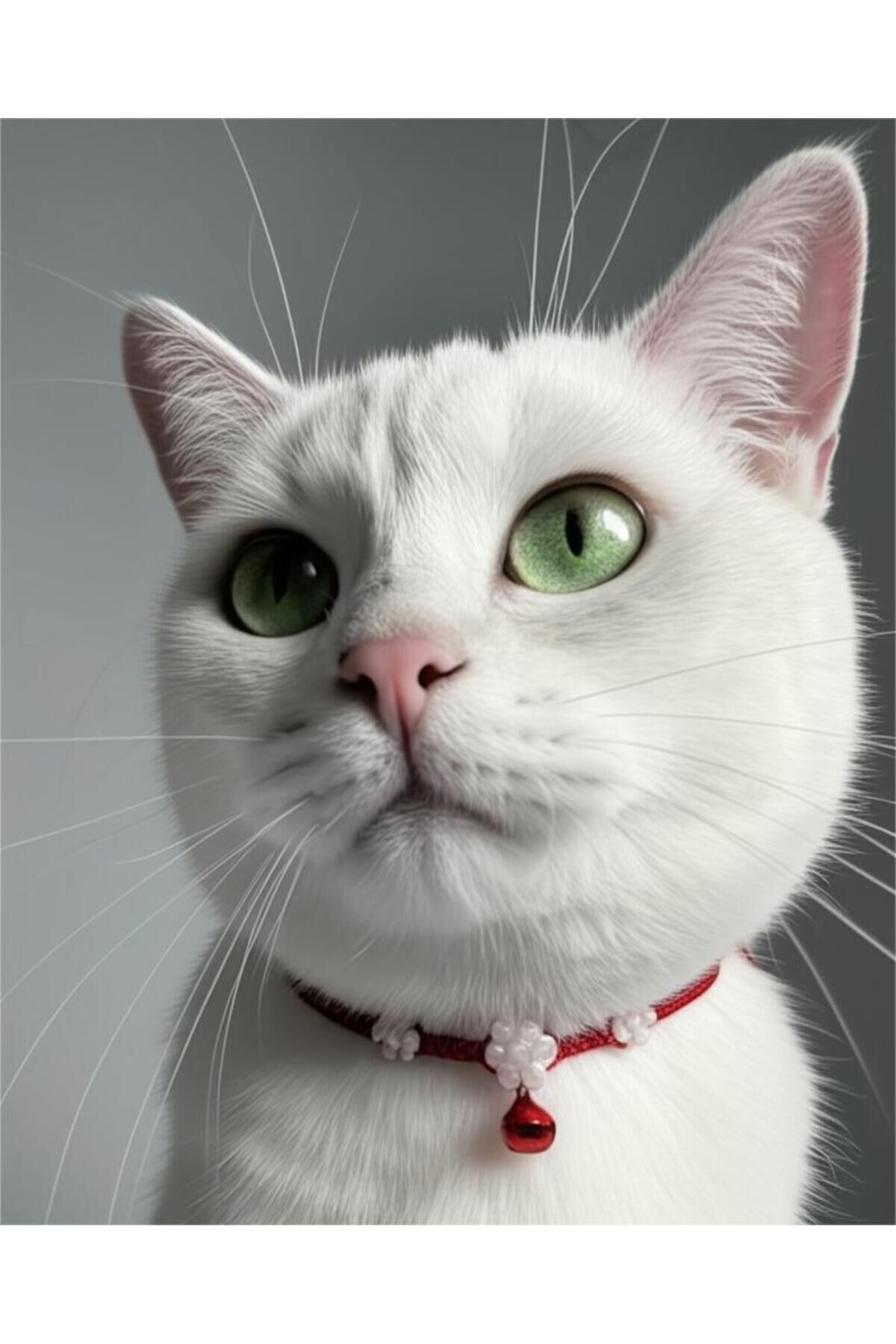 Açık Pembe Çin Kristali Çiçek Detay Kırmızı Zilli Kırmızı Renk Kedi ve Küçük Irk Köpek Tasması