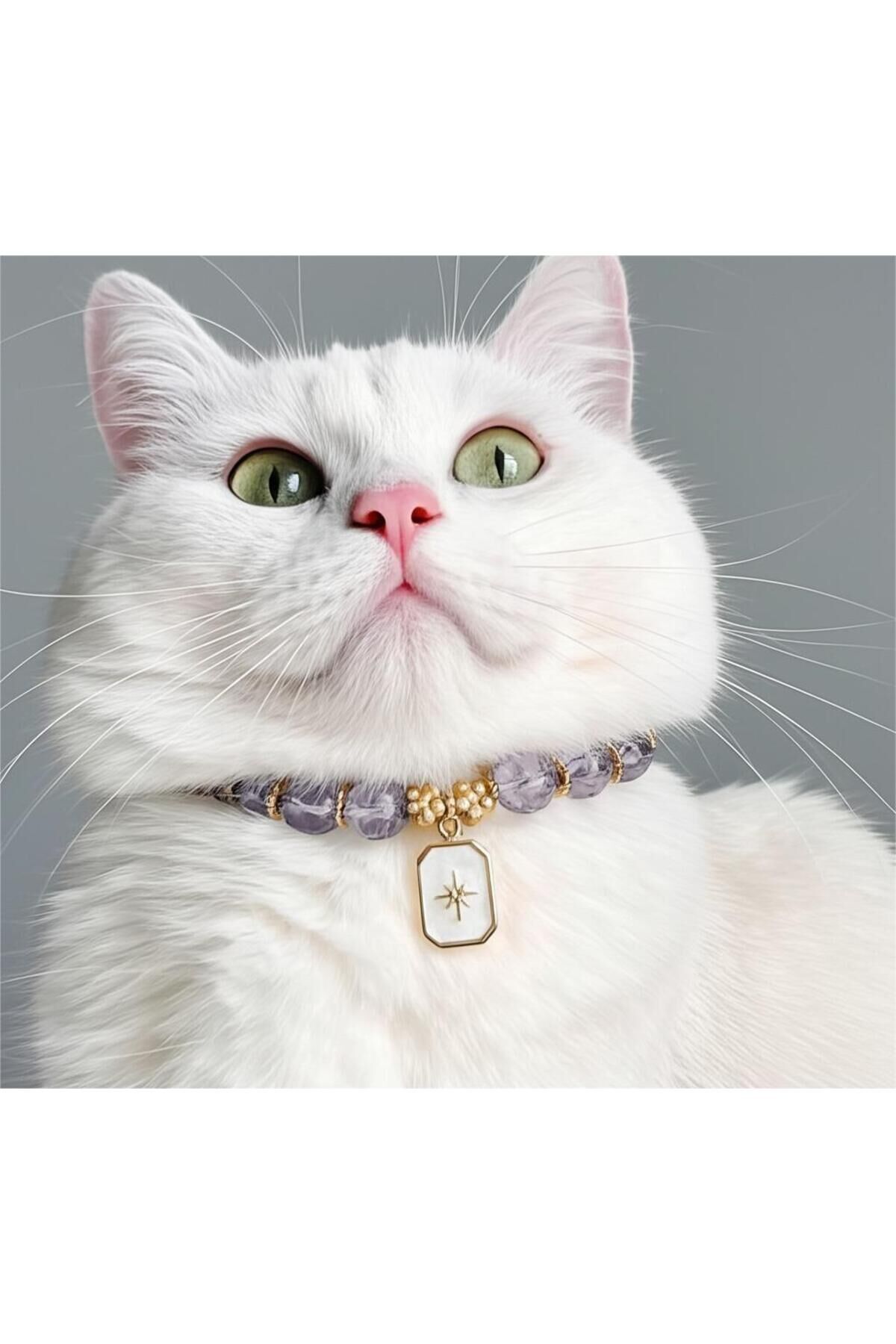 Mor Boncuklu Gold Kuzey Yıldızı Detay Kedi ve Küçük Irk Köpek Tasması