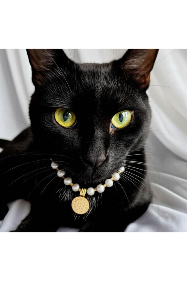 İncili Detay Kedi ve Küçük Irk Köpek Tasması