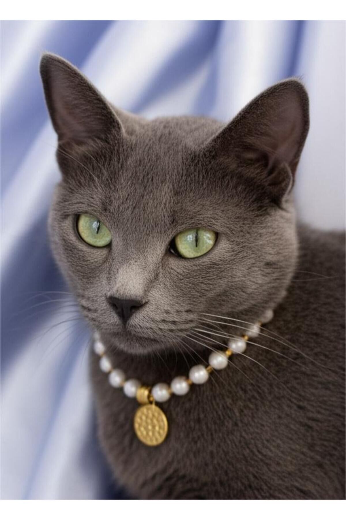 İncili Detay Kedi ve Küçük Irk Köpek Tasması