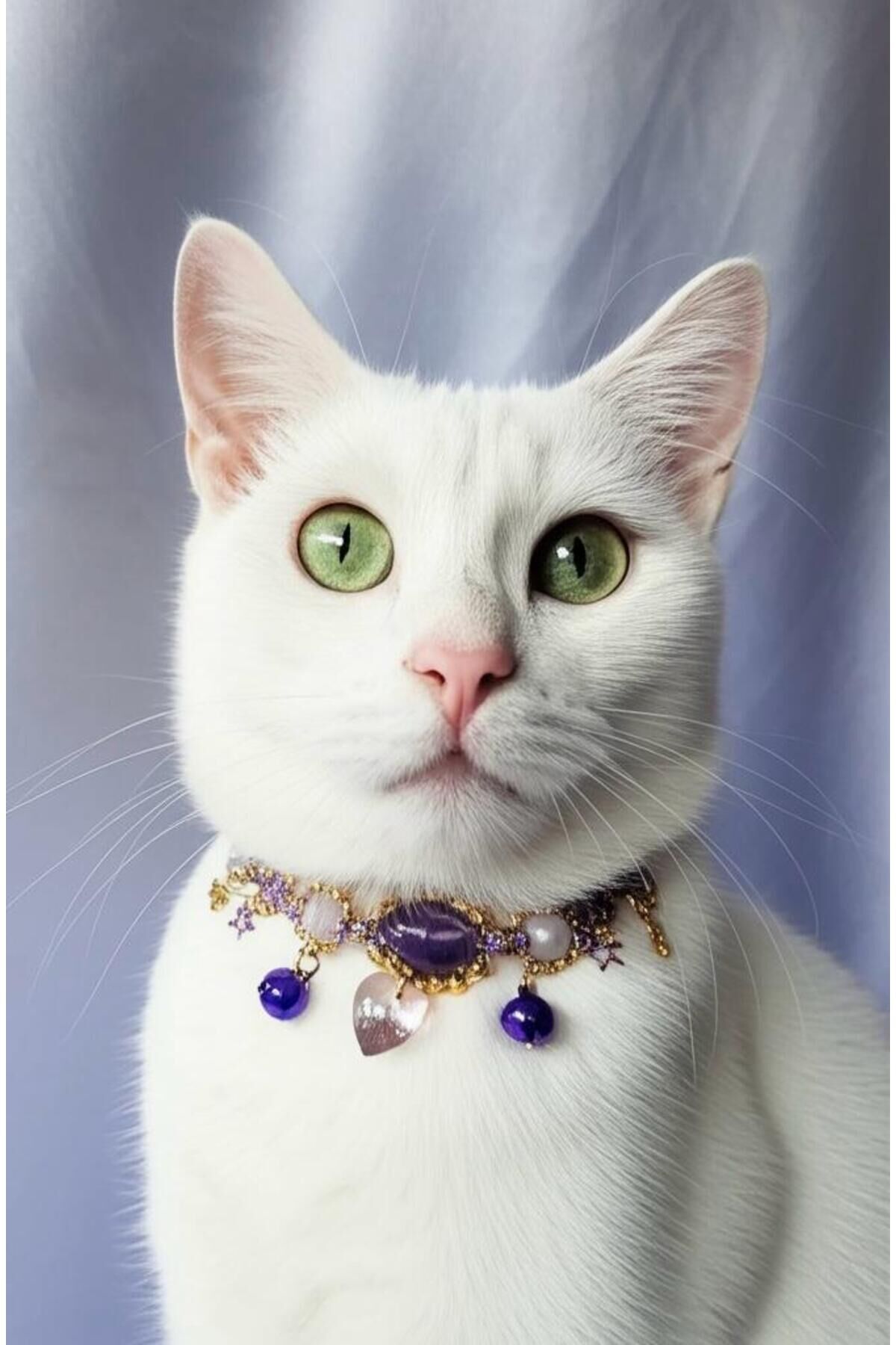 Doğal Taş Ametist Boncuklu Mor Kristal Kalp Charmlı Mor Zilli Kedi ve Küçük Irk Köpek Tasması