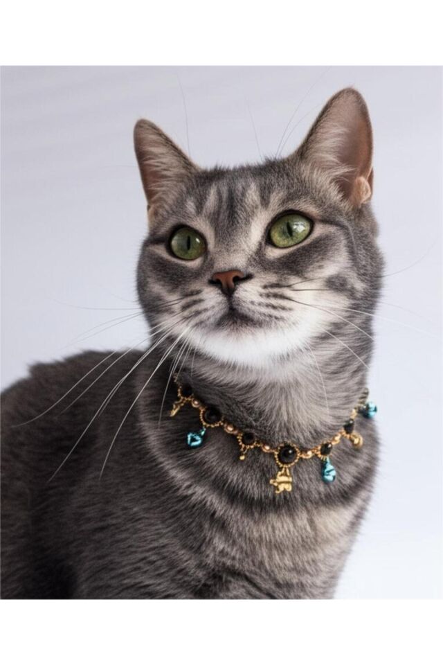 Doğal Taş Kaplan Gözü Boncuklu Mavi Zilli Gold Fil Charmlı Kedi ve Küçük Irk Köpek Tasması