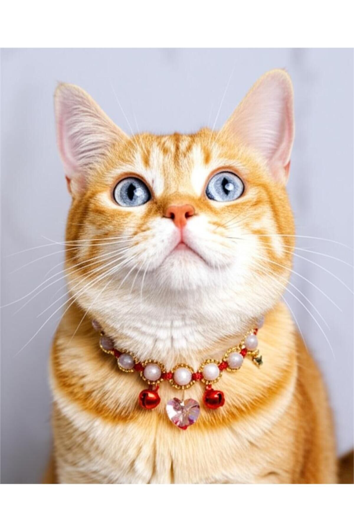 Doğal Taş Aytaşı ve Pembe Kristal Kalp Charmlı Kırmızı Kedi ve Küçük Irk Köpek Tasması