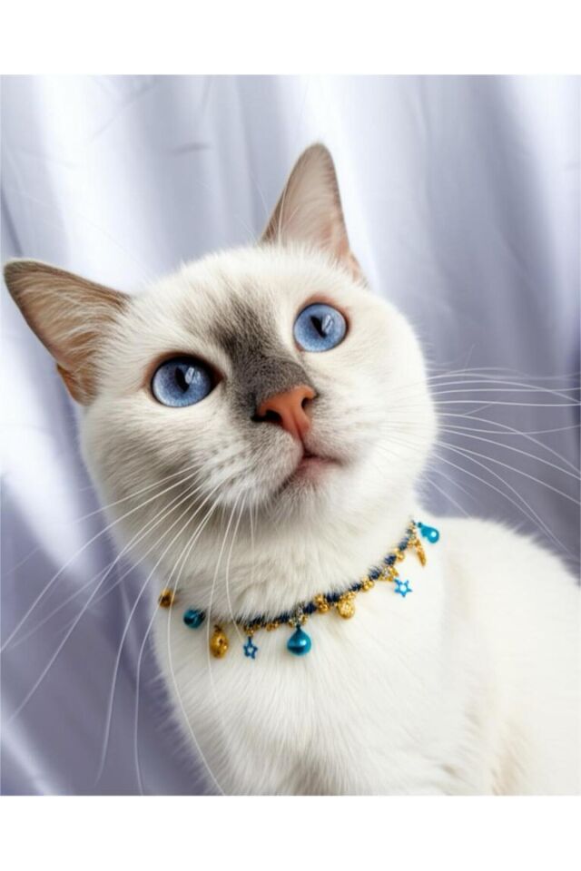 Doğal Taş Labradorit Boncuklu Kristal Taş Charmlı Lacivert Kedi ve Küçük Irk Köpek Tasması