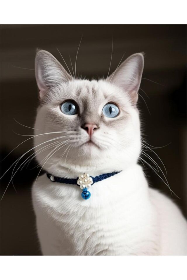 İnci Çiçek Detay Mavi Zilli Lacivert Renk Kedi ve Küçük Irk Köpek Tasması Lacivert