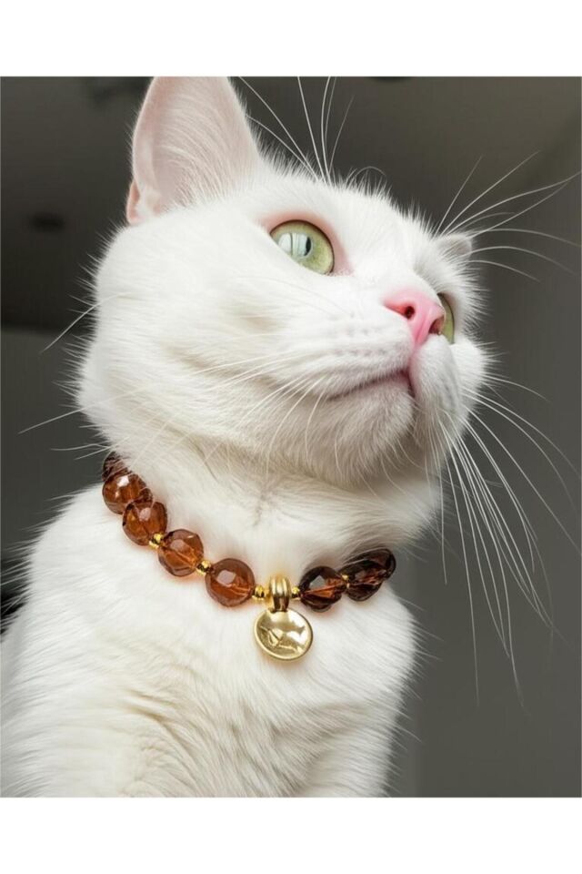 Kahverengi Boncuklu Gold Detay Kedi ve Küçük Irk Köpek Tasması Kahverengi