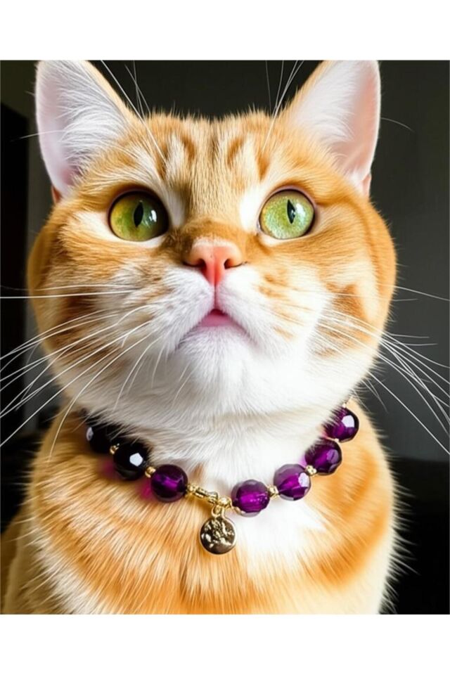 Mor Boncuklu Gold Detay Kedi ve Küçük Irk Köpek Tasması Mor