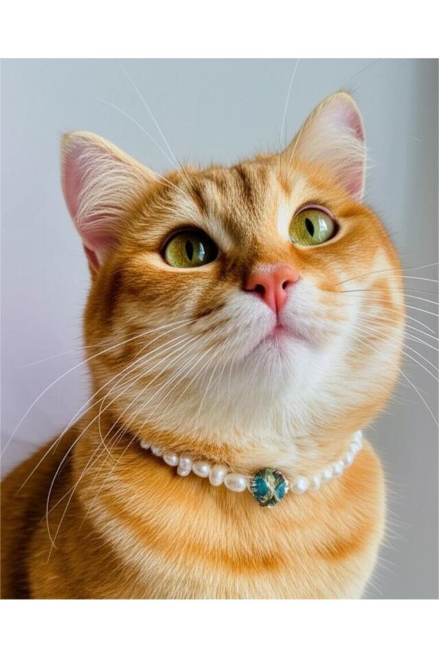 Mavi Cam Boncuk Detay İnci Kedi ve Küçük Irk Köpek Tasması Beyaz