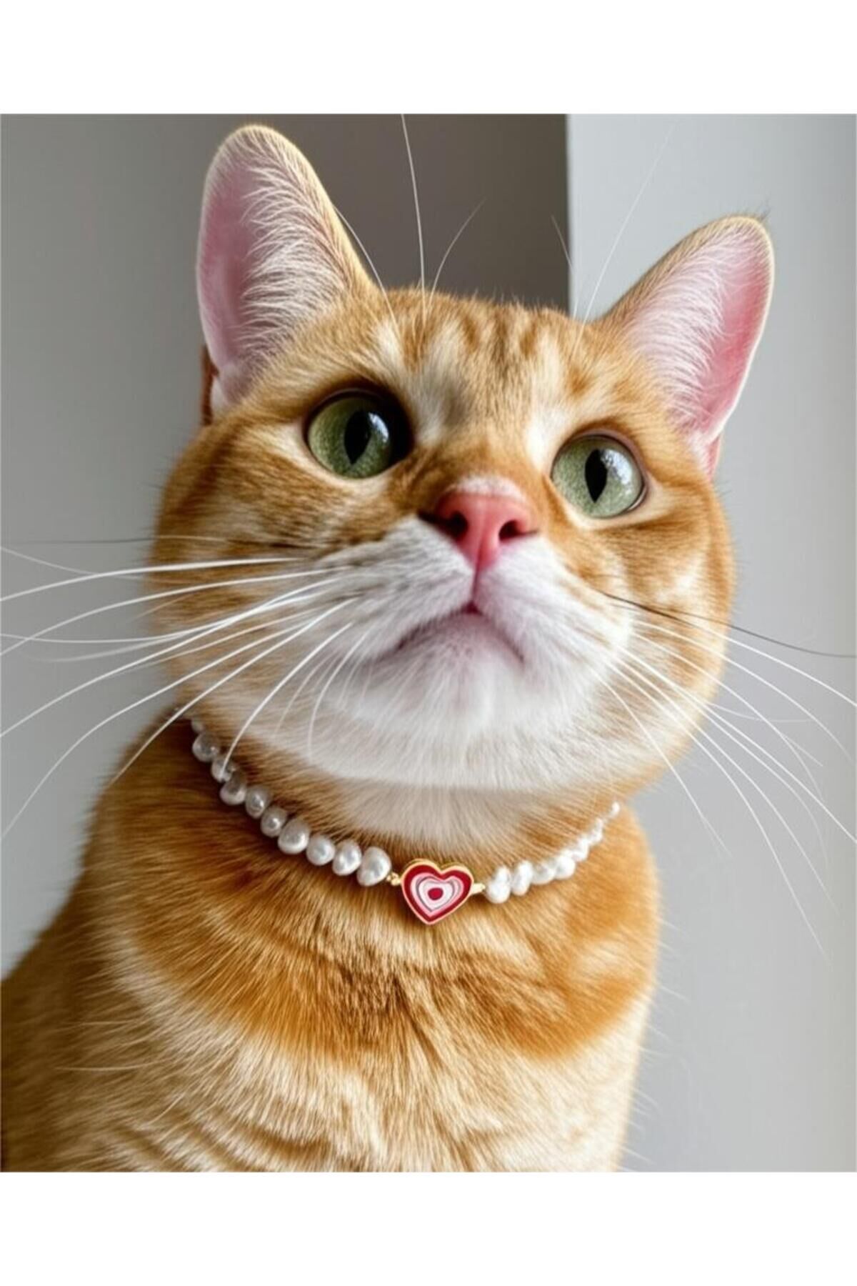 Renkli Kalp Detay İnci Kedi ve Küçük Irk Köpek Tasması Beyaz