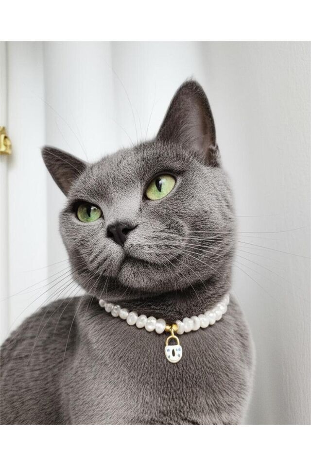 Kilit Detay İnci Kedi ve Küçük Irk Köpek Tasması Beyaz