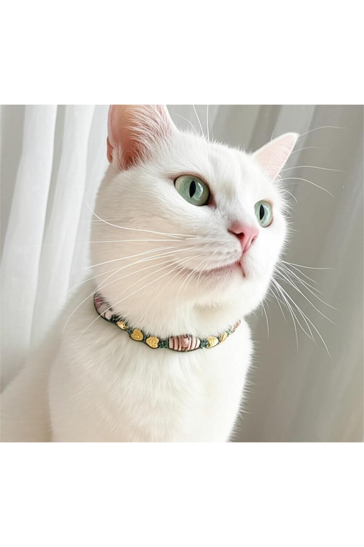 Renkli Cam Boncuk Gold Kalp Detay Yeşil Kedi ve Küçük Irk Köpek Tasması Yeşil