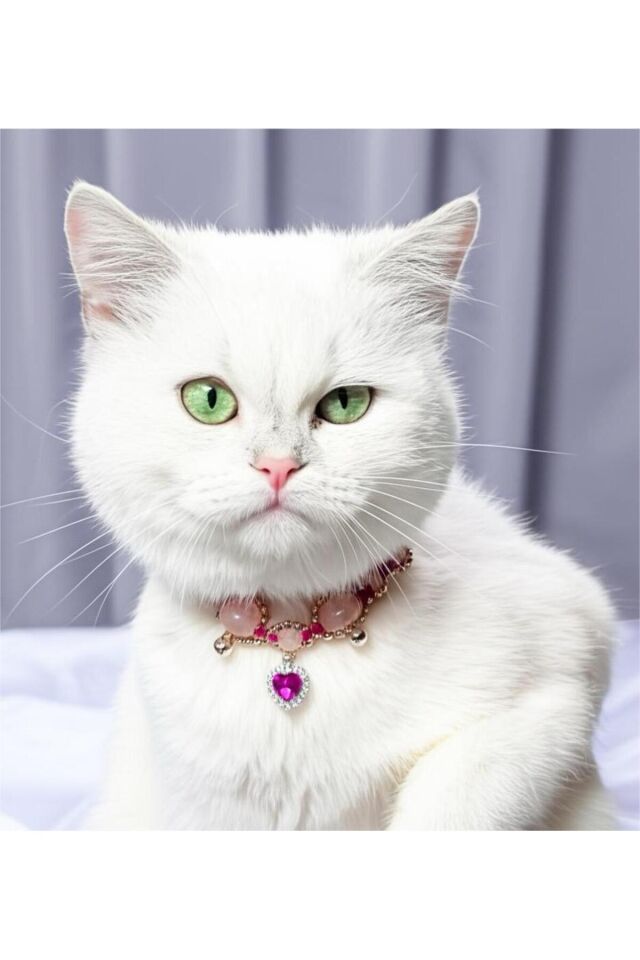 Doğal Taş Pembe Kuvars Boncuklu Kristal Pembe Charmlı Kedi ve Küçük Irk Köpek Tasması Pembe