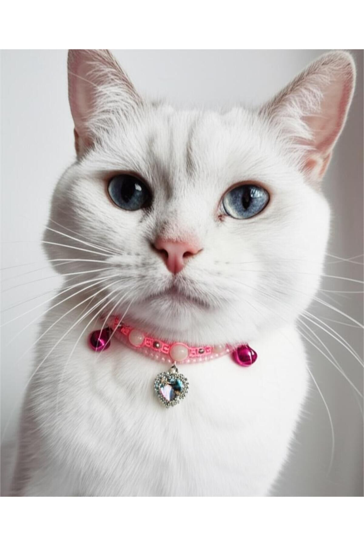 Doğal Taş Pembe Kuvars Boncuklu Pembe Kristal Kalp Charmlı ve Zilli Kedi ve Küçük Irk Köpek Tasması Pembe